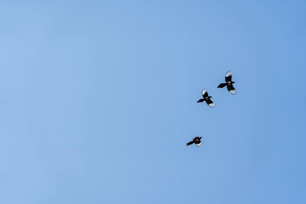 Comment le yoga peut-il contribuer à réduire le stress et l'anxiété dans votre vie quotidienne?